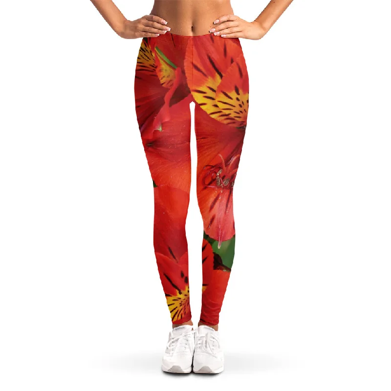 Clearance Event Red Alstroemeria Print Women's Leggings